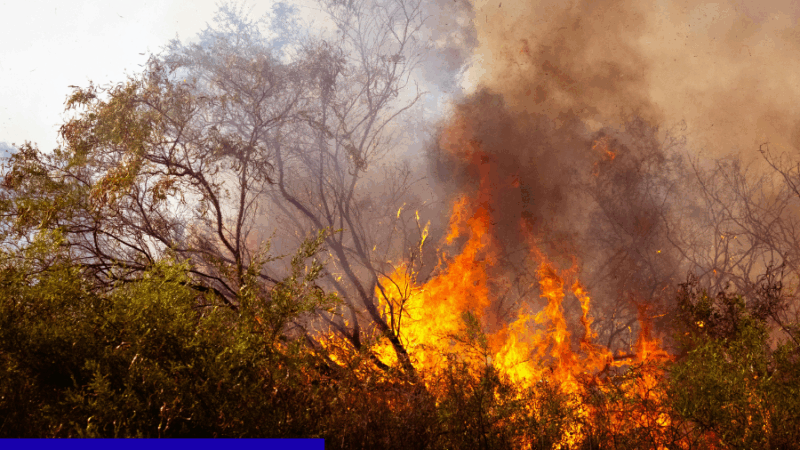 Incêndio na Serra de São José já dura mais de quatro dias e ameaça um dos patrimônios naturais das Vertentes