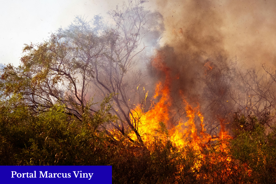 Incêndio na Serra de São José já dura mais de quatro dias e ameaça um dos patrimônios naturais das Vertentes