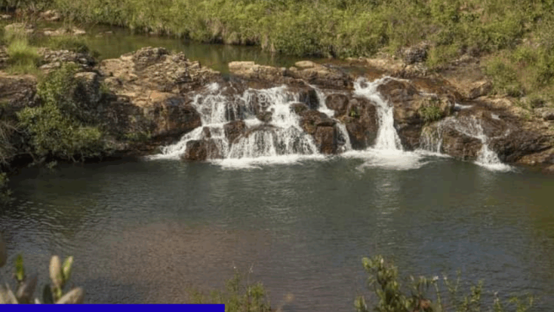 Pau de Espinho: o refúgio natural entre Barbacena e Campolide que encanta pela simplicidade e beleza