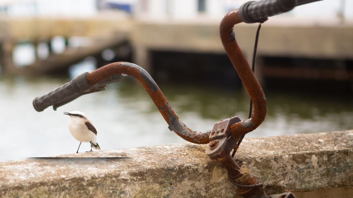 O Brasil que sobrevive ao boletim do tempo