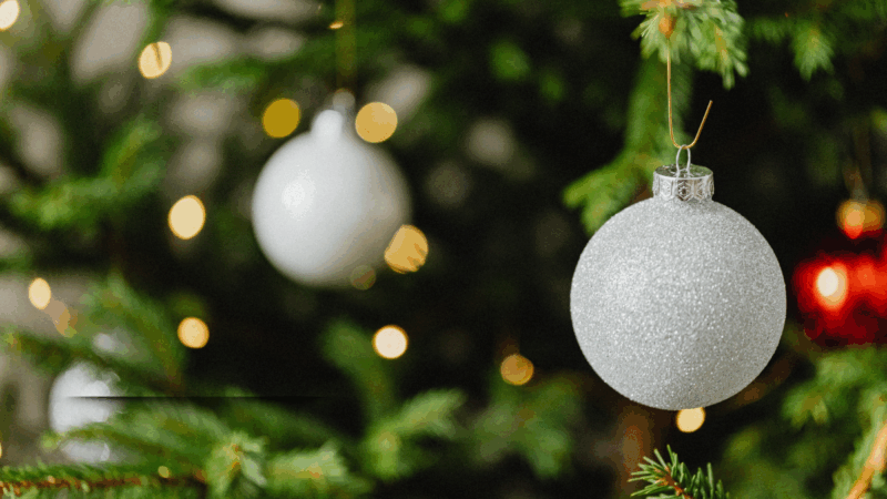 Barbacena abre oficialmente a temporada natalina com o acendimento das luzes do Sonho de Natal 2025  O Natal do Amor