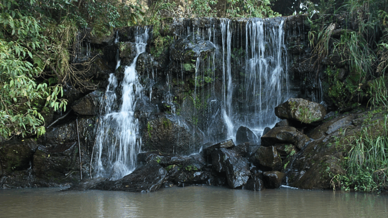 Jornalista flagra alteração na água do Córrego do Pocinho, afluente do Rio das Mortes, durante saída fotográfica