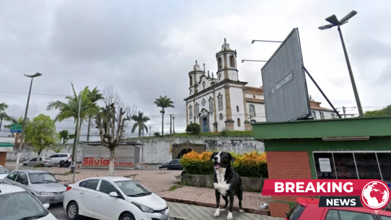 Moradores denunciam ataques de cachorro e insegurança na Praça Soares Ferreira, no bairro Boa Morte