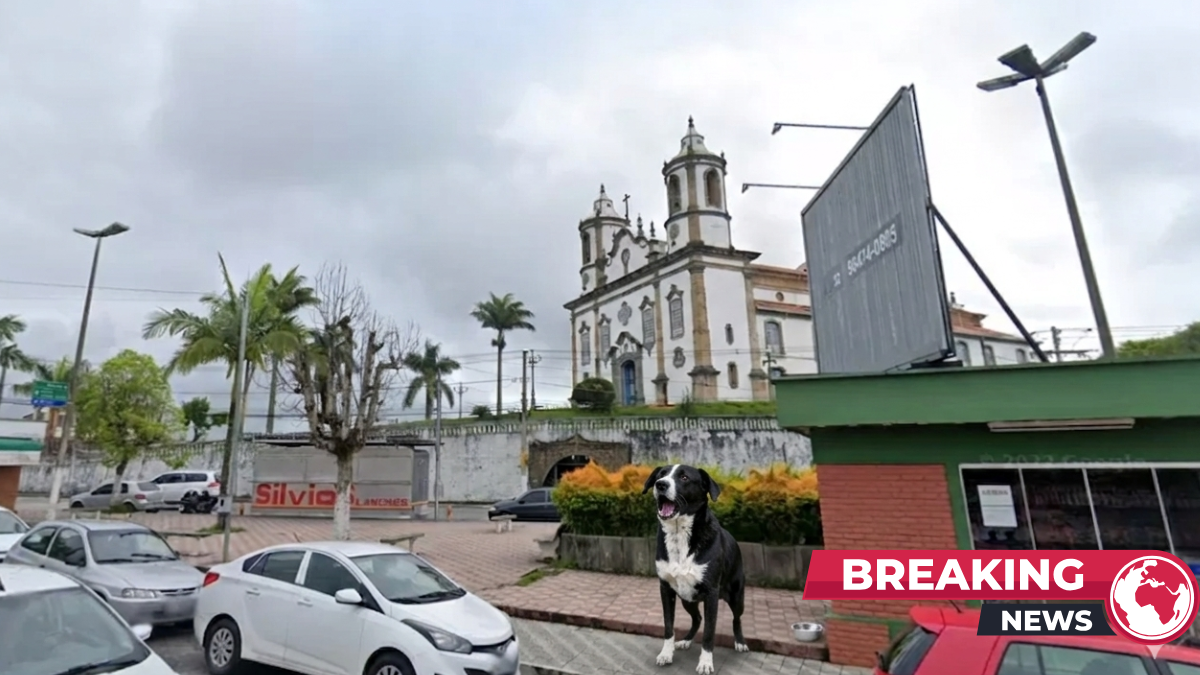 Moradores denunciam ataques de cachorro e insegurança na Praça Soares Ferreira, no bairro Boa Morte