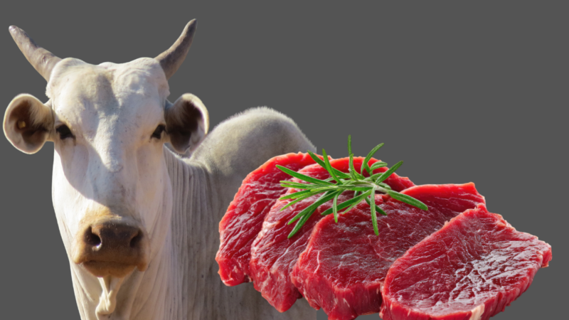 Preço da carne bovina dispara até 45% em dois anos e pressiona bolso do brasileiro