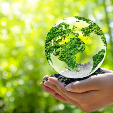 Dia Mundial do Meio Ambiente: Instituto Preserva Gerais prepara retorno das ações ambientais na região