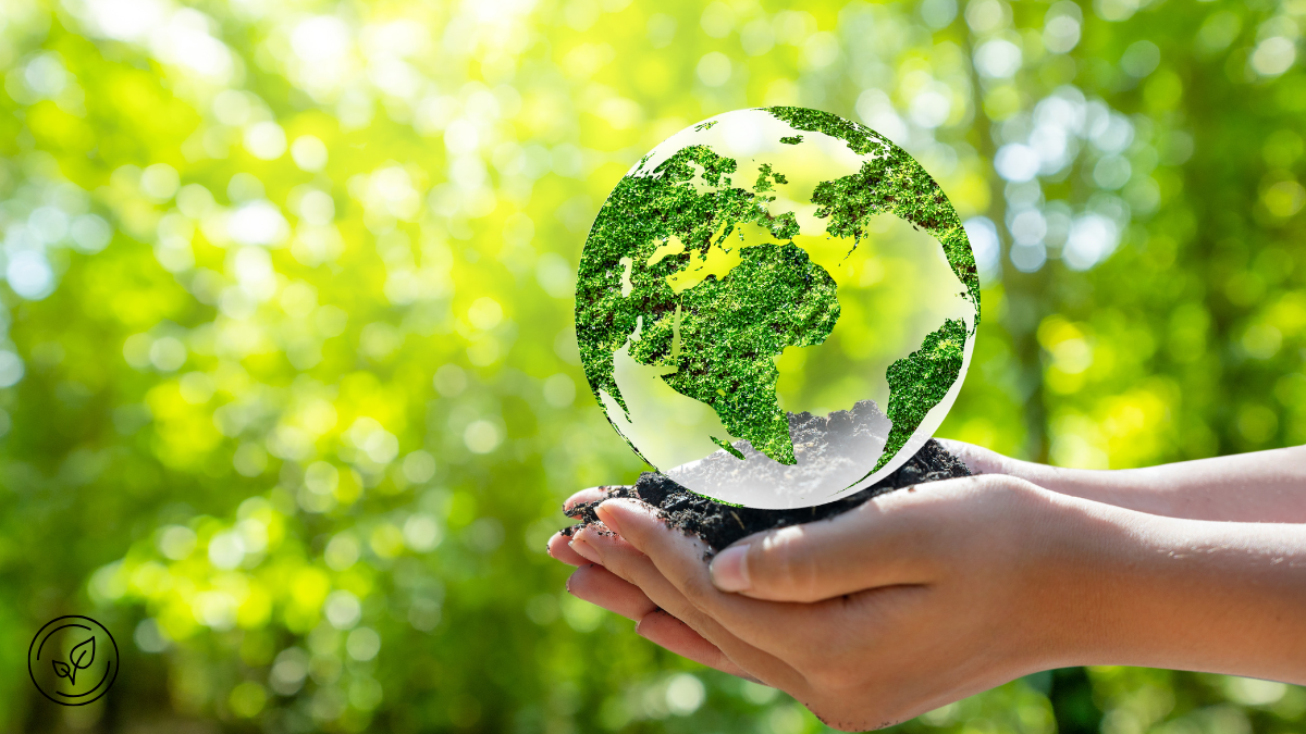 Dia Mundial do Meio Ambiente: Instituto Preserva Gerais prepara retorno das ações ambientais na região